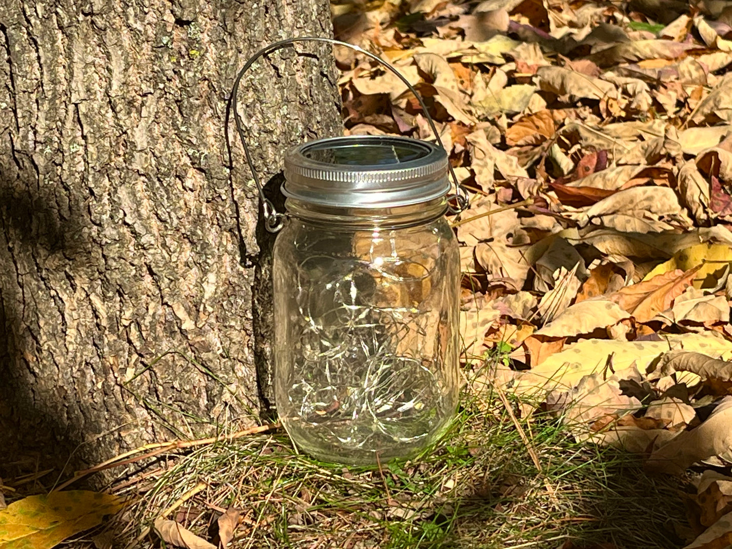 Fall Glamping Box 2025