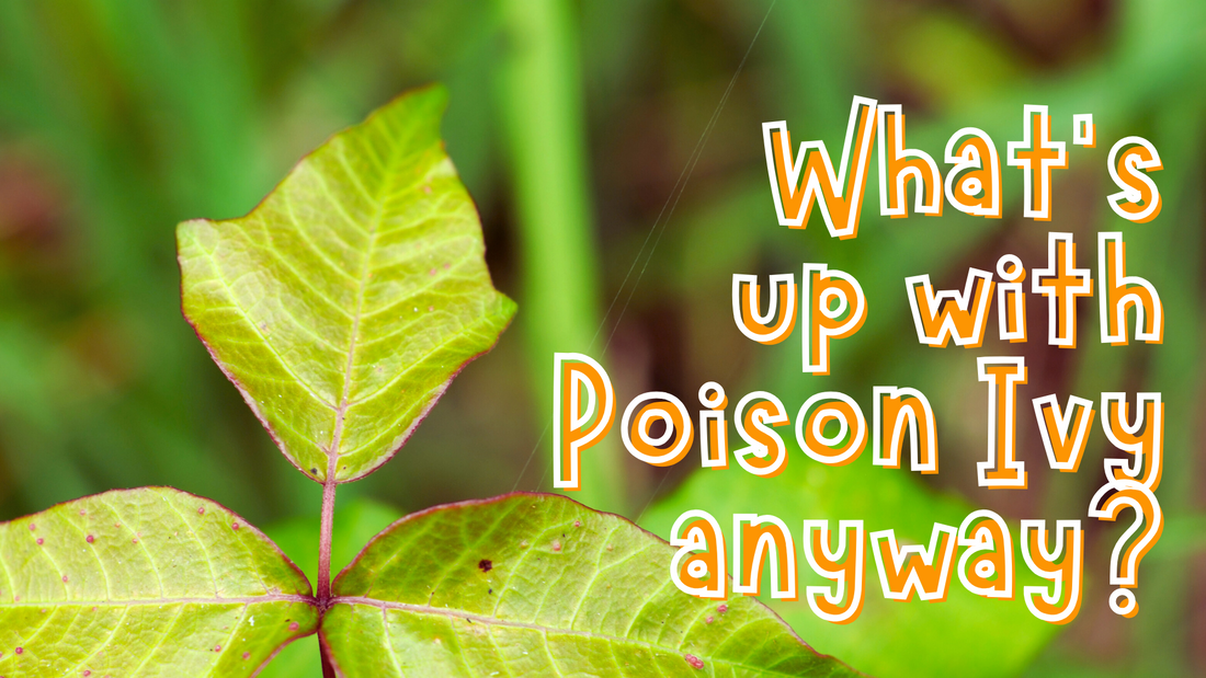 Poison Ivy: Leaves of three, leave it be