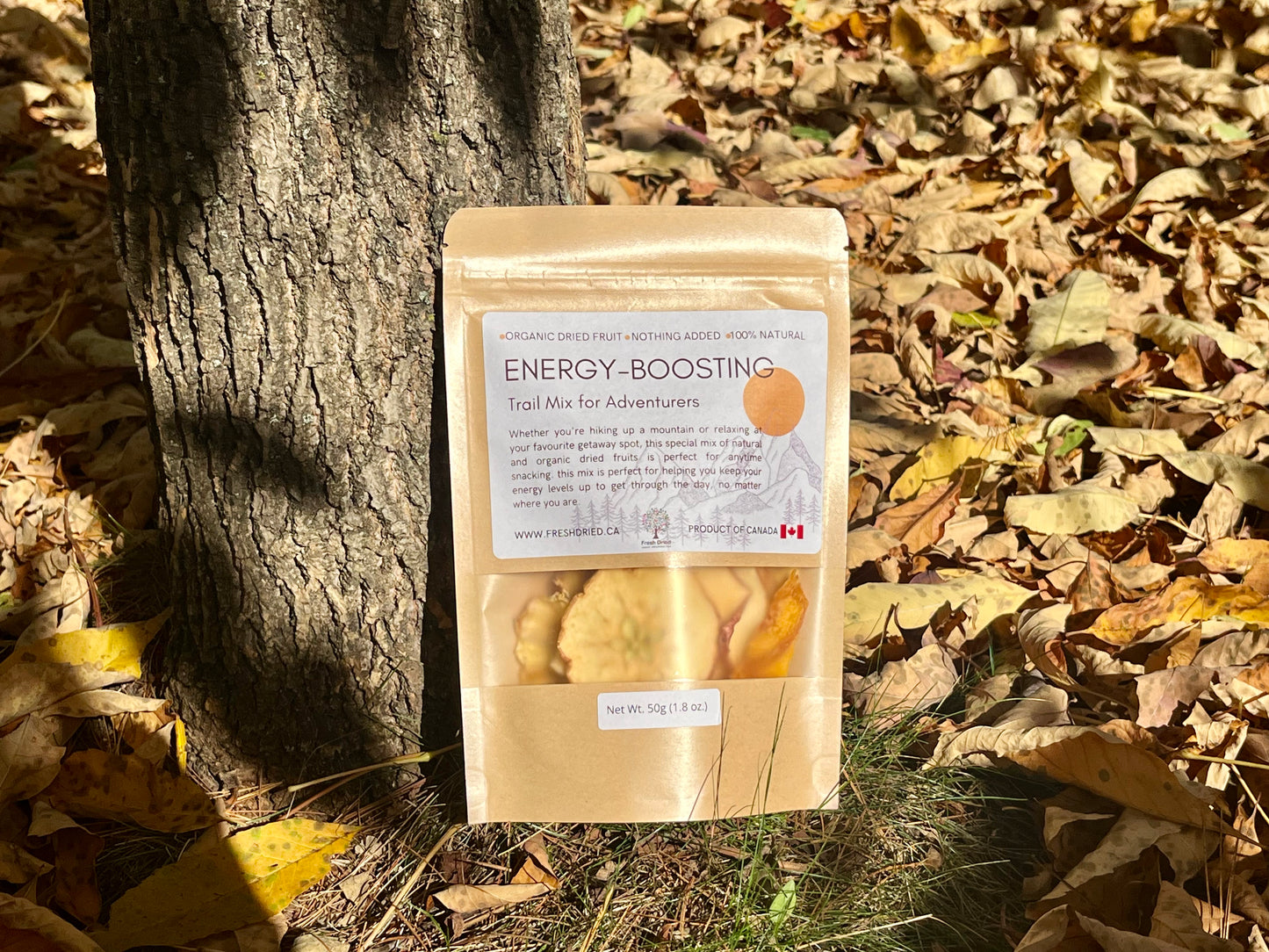 Fall Glamping Box 2025