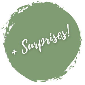 A green circle with the word "Surprises!" inside.  Every subscription box includes at least one surprise.